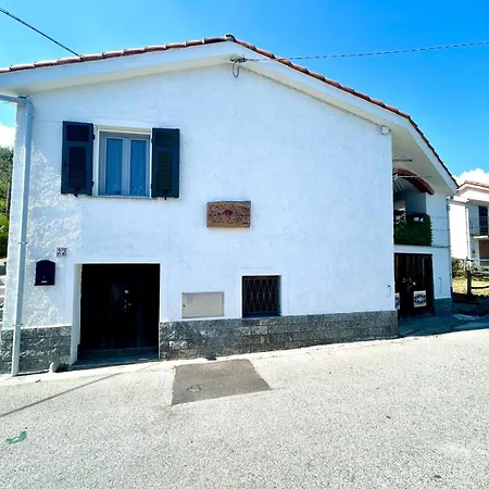 La Rosa By World * Segno